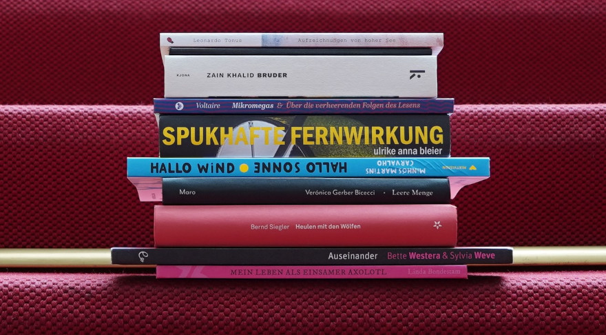 Die Bücher auf der Empfehlungsliste „Bayerns beste Independent Bücher 2023“ (© StMWK)